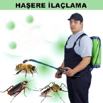 Kaynarca Böcek İlaçlama
